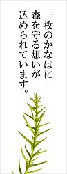 �҂ށE���Ȃ�