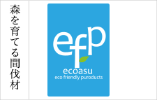 efp ecoasu