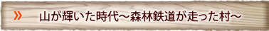 山が輝いた時代～森林鉄道が走った村～