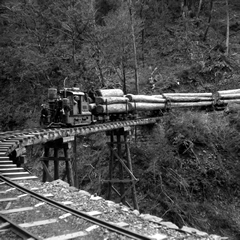 山間を走る森林鉄道